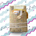 Summer Reads Blind Date with a Book
